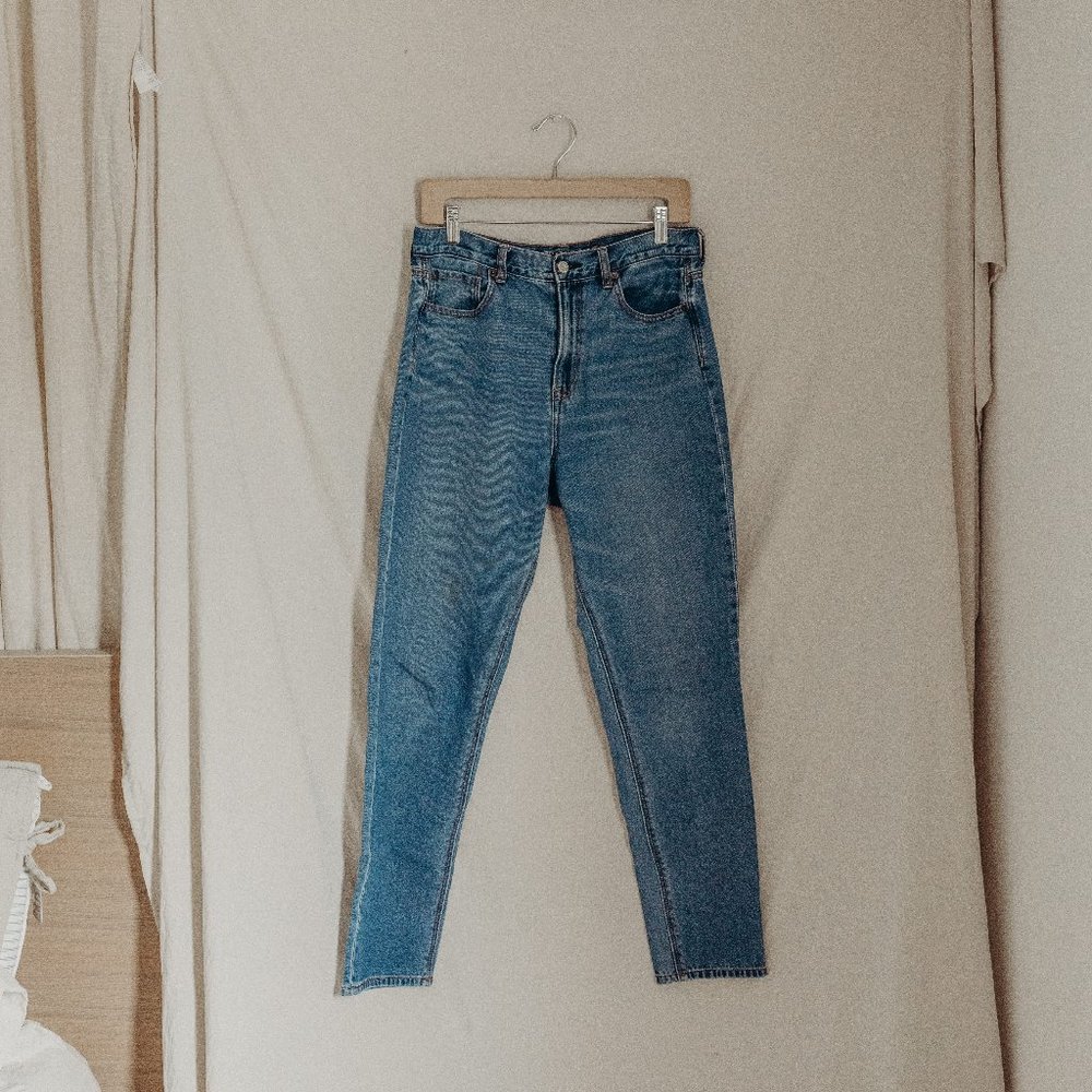 AE Mom Jeans